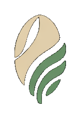 NOKA logo
